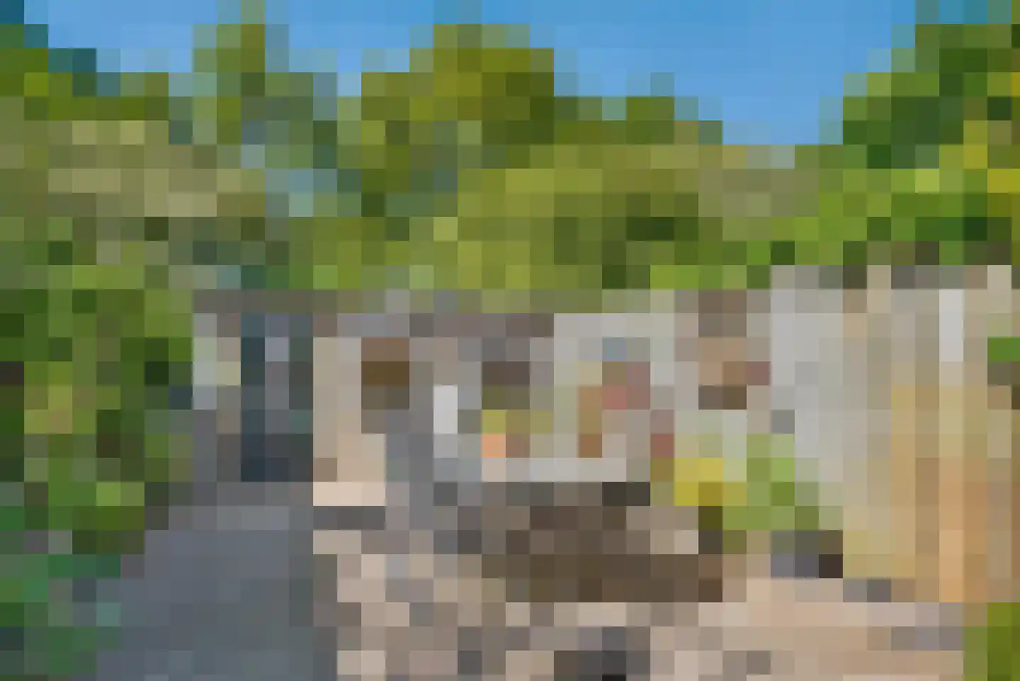Vaarvonder 52 Vught thumbnail 15