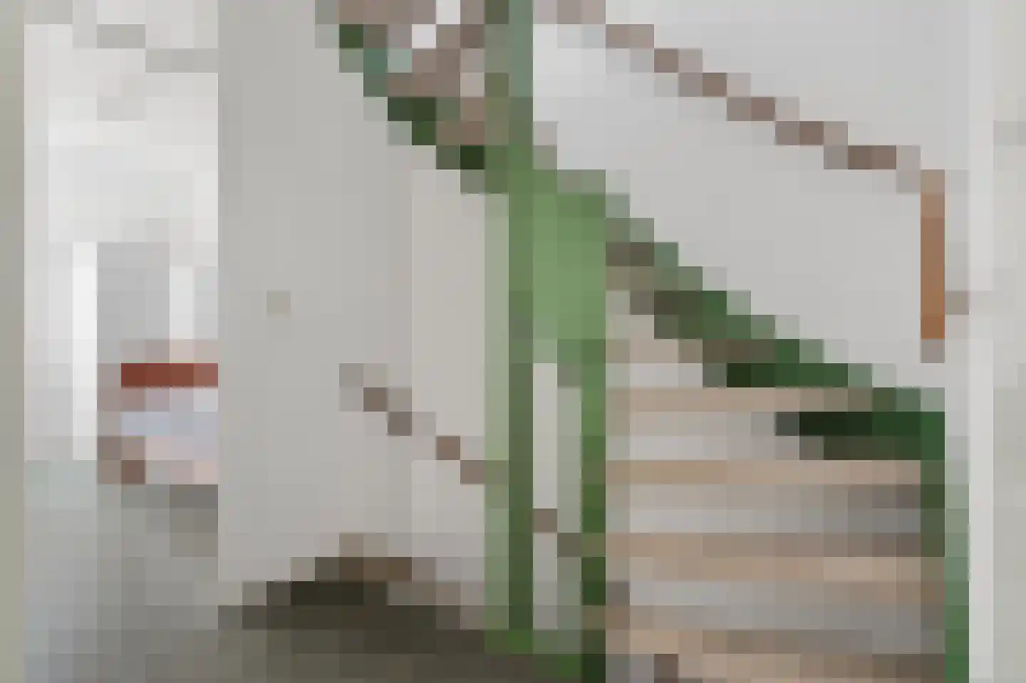 Vaarvonder 52 Vught thumbnail 29