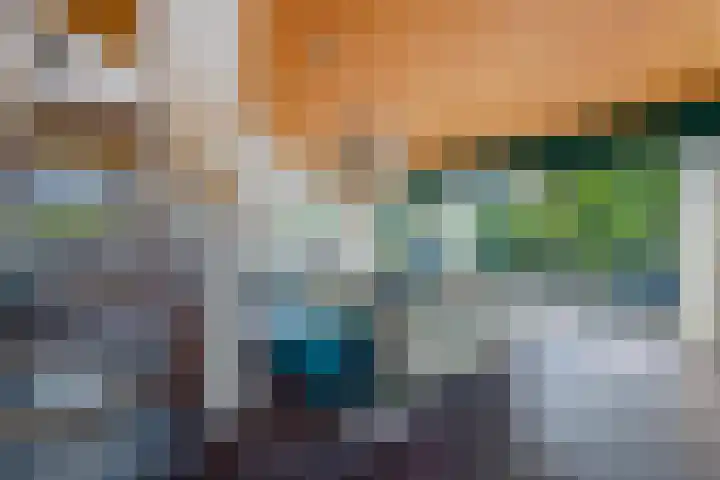 Vaarwerkhorst 19 Enschede thumbnail 11