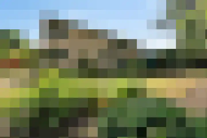 Vaarwerkhorst 19 Enschede thumbnail 28
