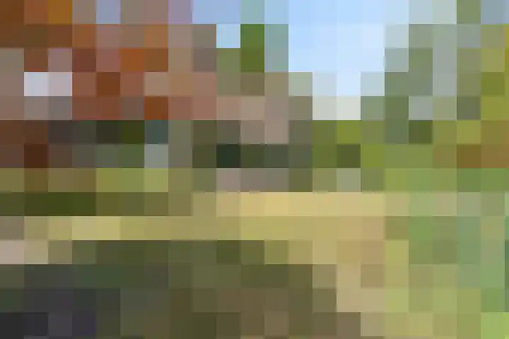 Vaarwerkhorst 19 Enschede thumbnail 31