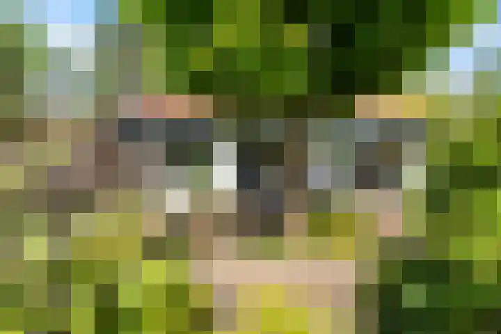 Vaarwerkhorst 19 Enschede thumbnail 33