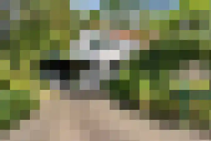 Vaarwerkhorst 19 Enschede thumbnail 37