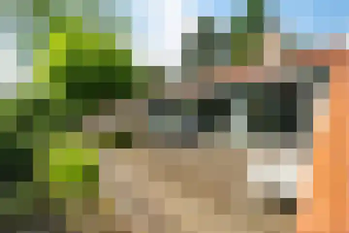 Vaarwerkhorst 19 Enschede thumbnail 4