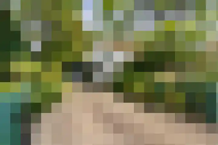 Vaarwerkhorst 19 Enschede thumbnail 5