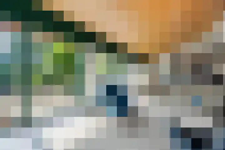 Vaarwerkhorst 19 Enschede thumbnail 7