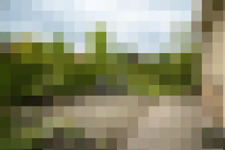 Vaarwerkhorst 27 Enschede thumbnail 34