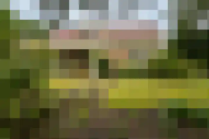 Vaarwerkhorst 27 Enschede thumbnail 5