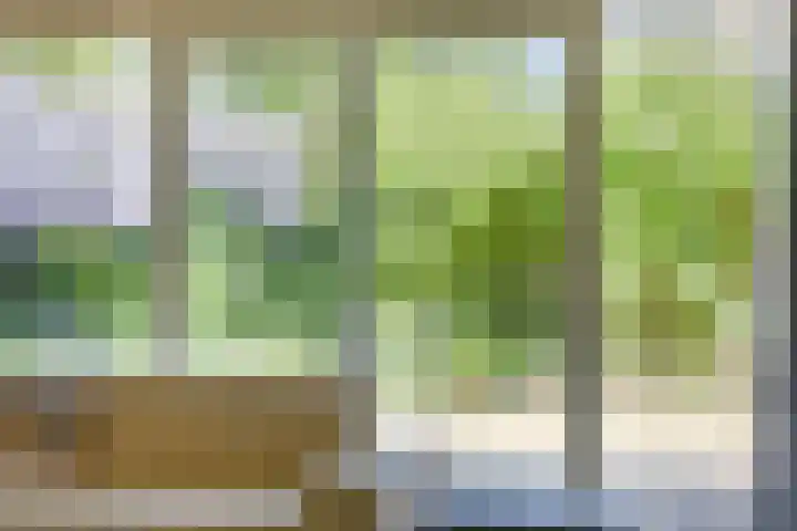 Vaarwerkhorst 5 Enschede thumbnail 12