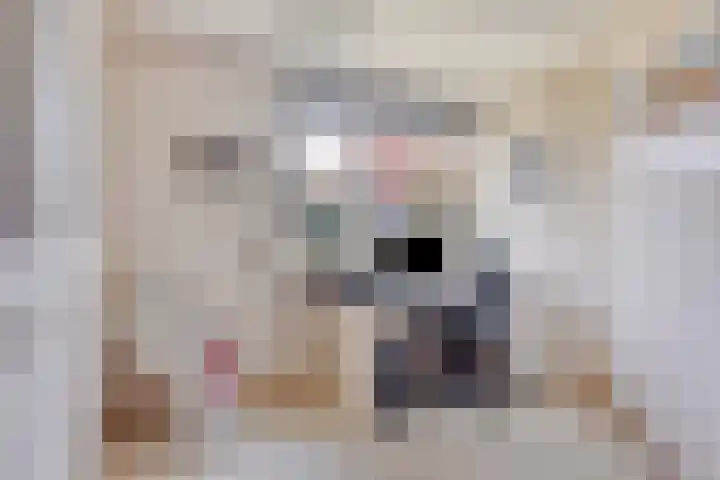 Vaarwerkhorst 5 Enschede thumbnail 22