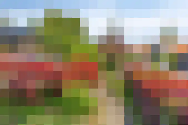 Vaarwerkhorst 5 Enschede thumbnail 25