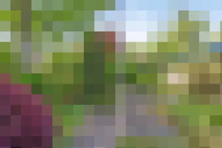 Vaarwerkhorst 5 Enschede thumbnail 26