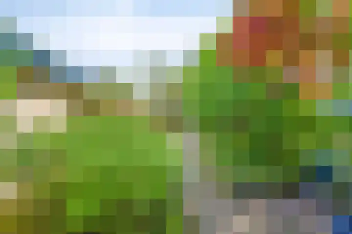 Vaarwerkhorst 5 Enschede thumbnail 27