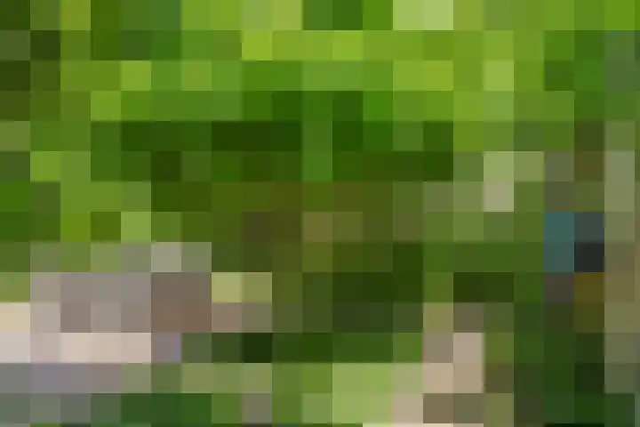 Vaarwerkhorst 5 Enschede thumbnail 29