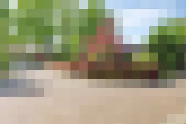 Vaarwerkhorst 5 Enschede thumbnail 4