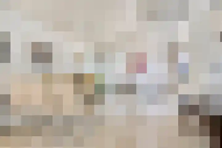 Vaarwerkhorst 5 Enschede thumbnail 8