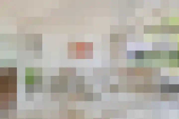 Vaarwerkhorst 5 Enschede thumbnail 9