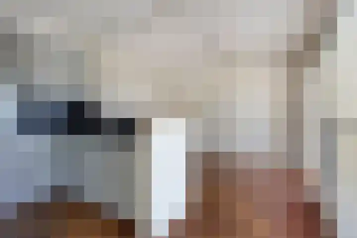 Vaarzenhof 104 Uden thumbnail 16