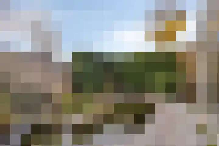 Vaarzenhof 104 Uden thumbnail 37