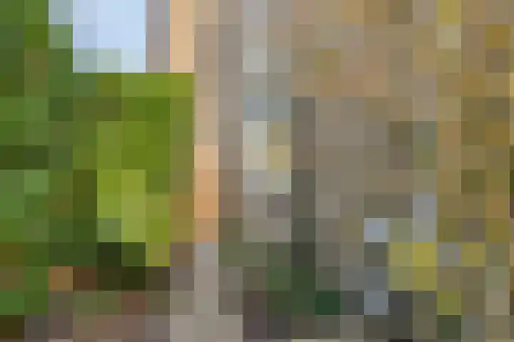 Vaarzenhof 104 Uden thumbnail 38