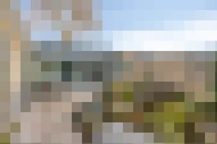 Vaarzenhof 104 Uden thumbnail 39