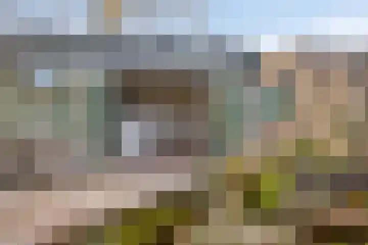 Vaarzenhof 104 Uden thumbnail 40