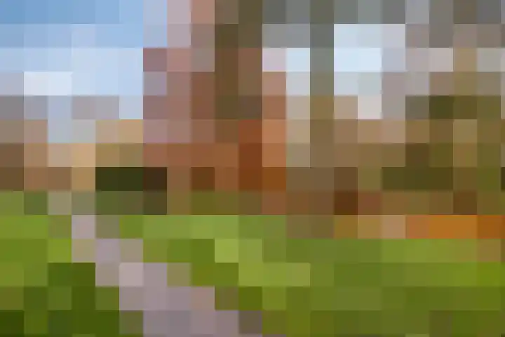 Vaarzenhof 104 Uden thumbnail 44