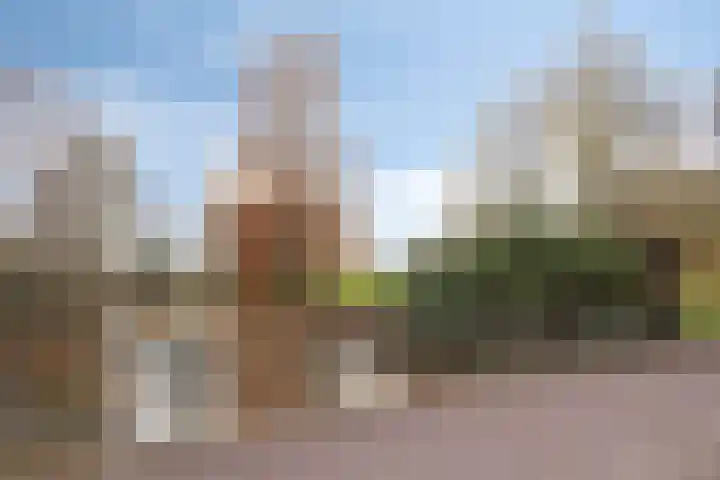 Vaarzenhof 104 Uden thumbnail 46