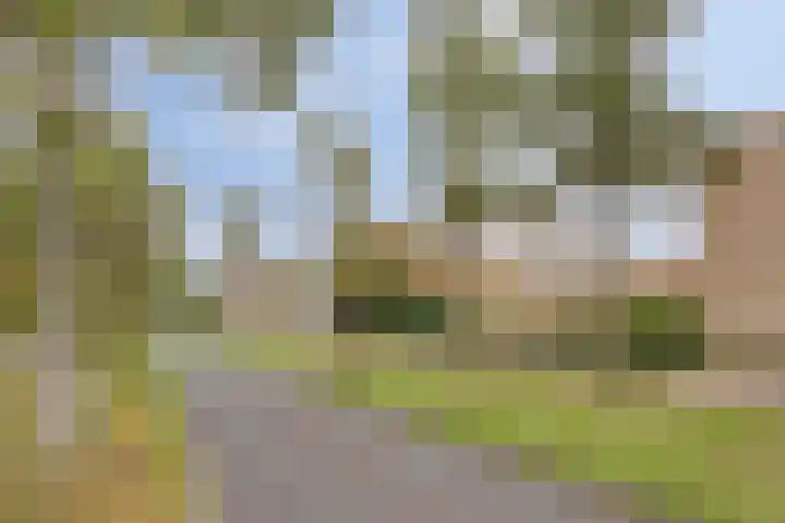Vaarzenhof 152 Uden thumbnail 36