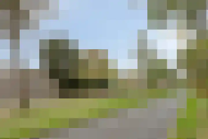 Vaarzenhof 152 Uden thumbnail 37