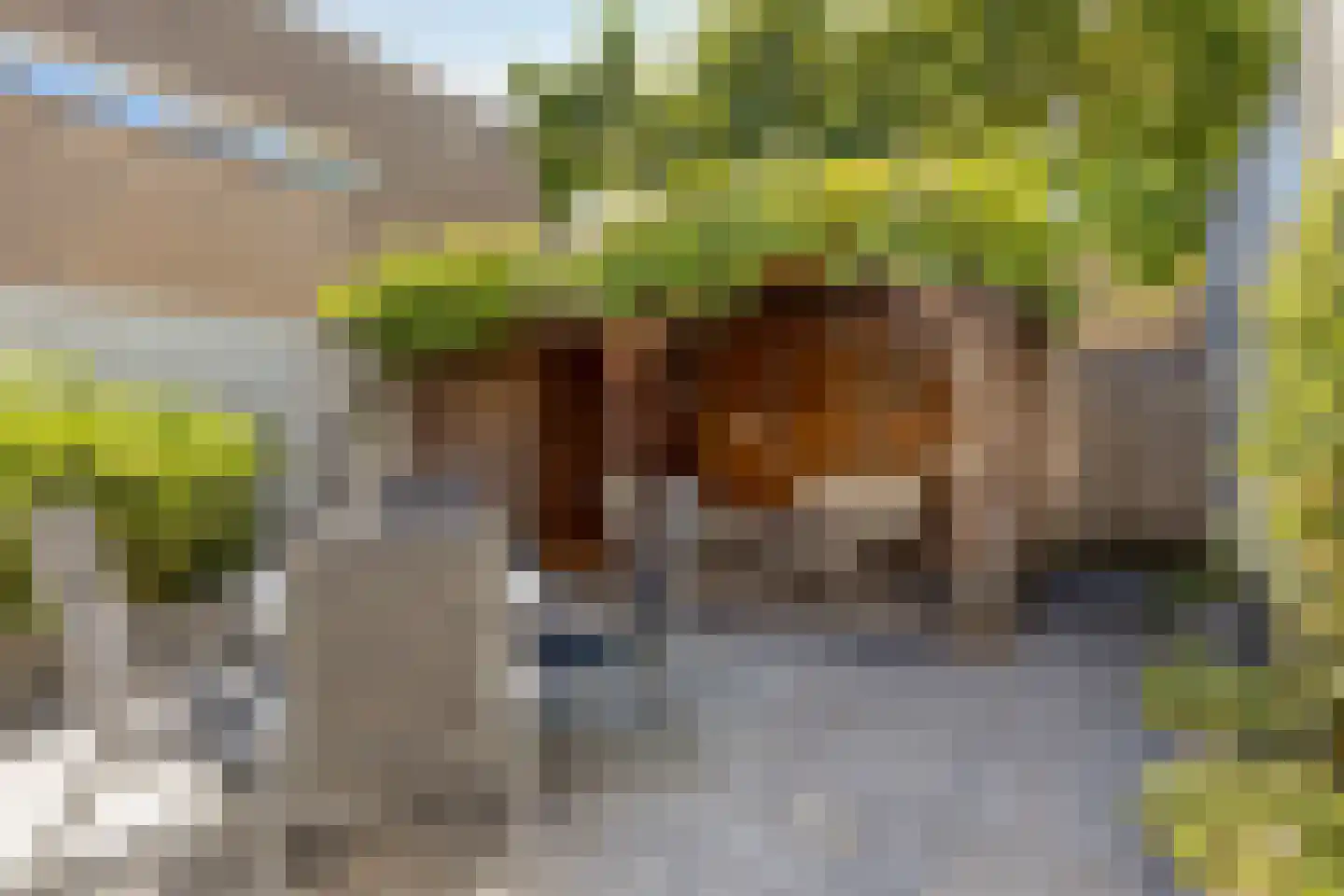 Vaarzenhof 176 Uden thumbnail 27