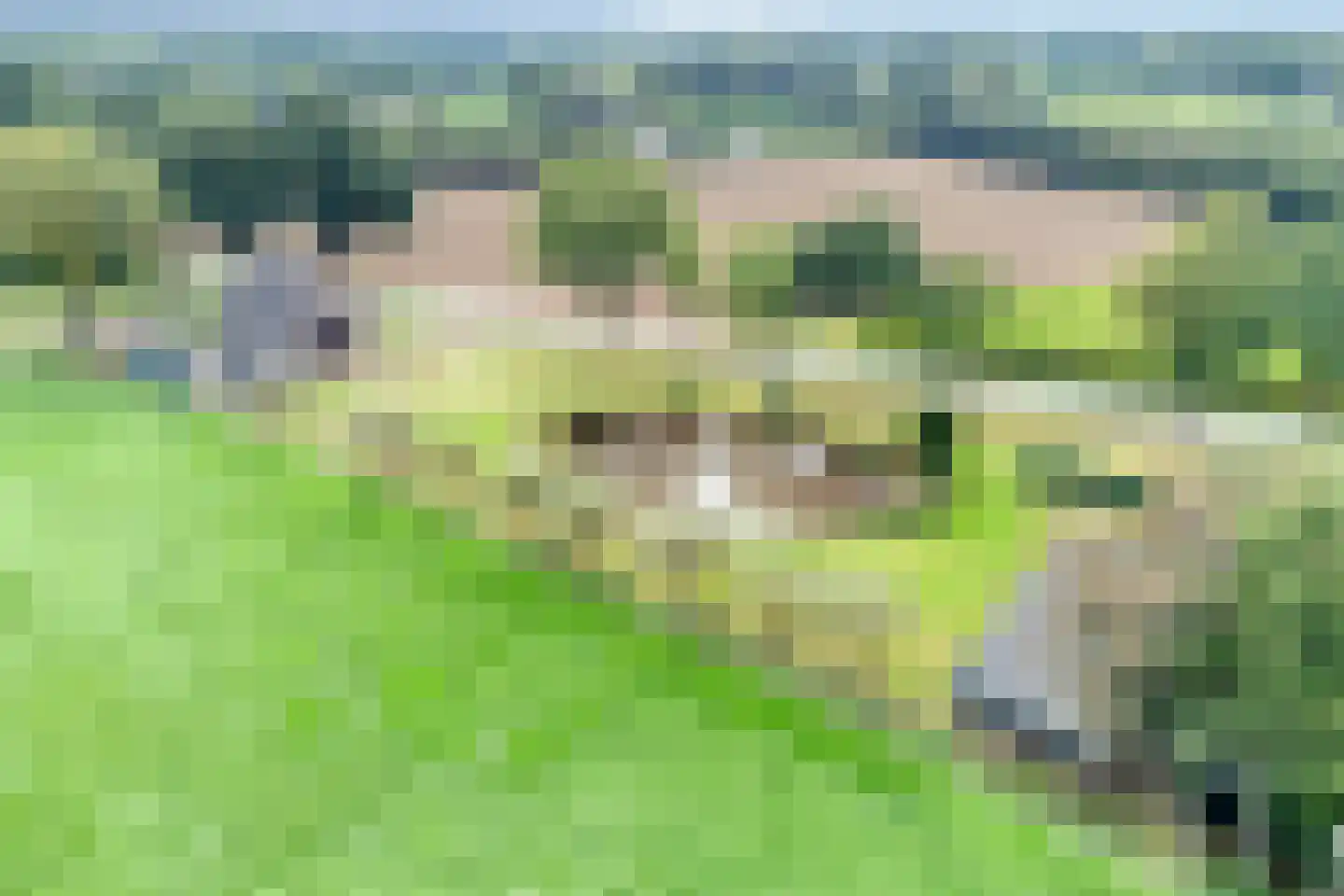 Vaassensebinnenweg 21 Emst