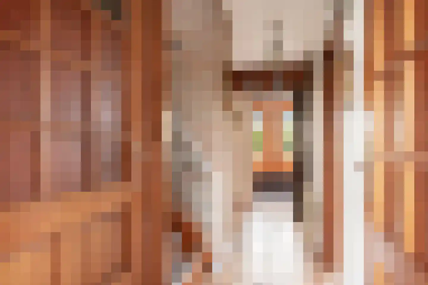 Vaassensebinnenweg 21 Emst thumbnail 12