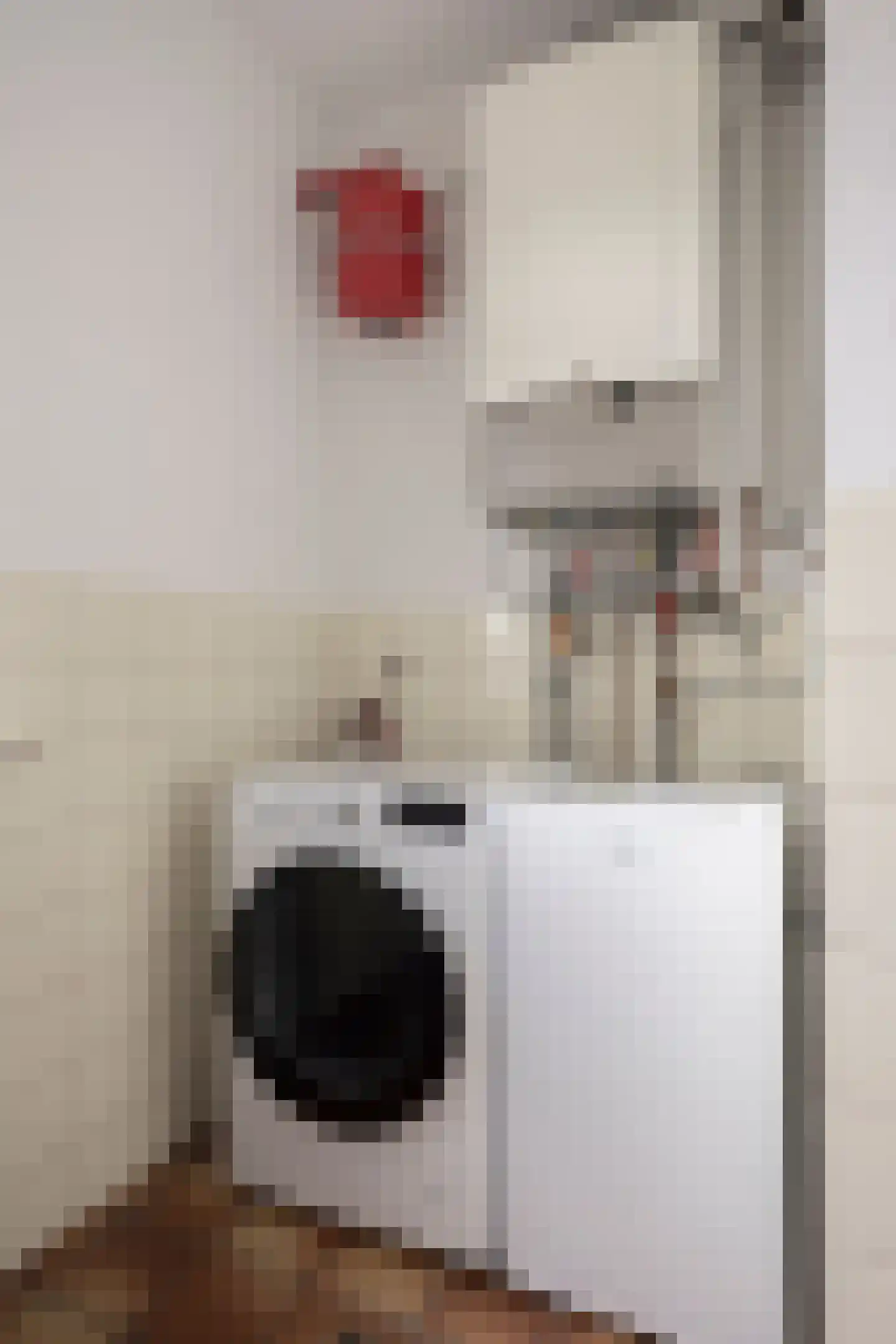 Vaassensebinnenweg 21 Emst thumbnail 14