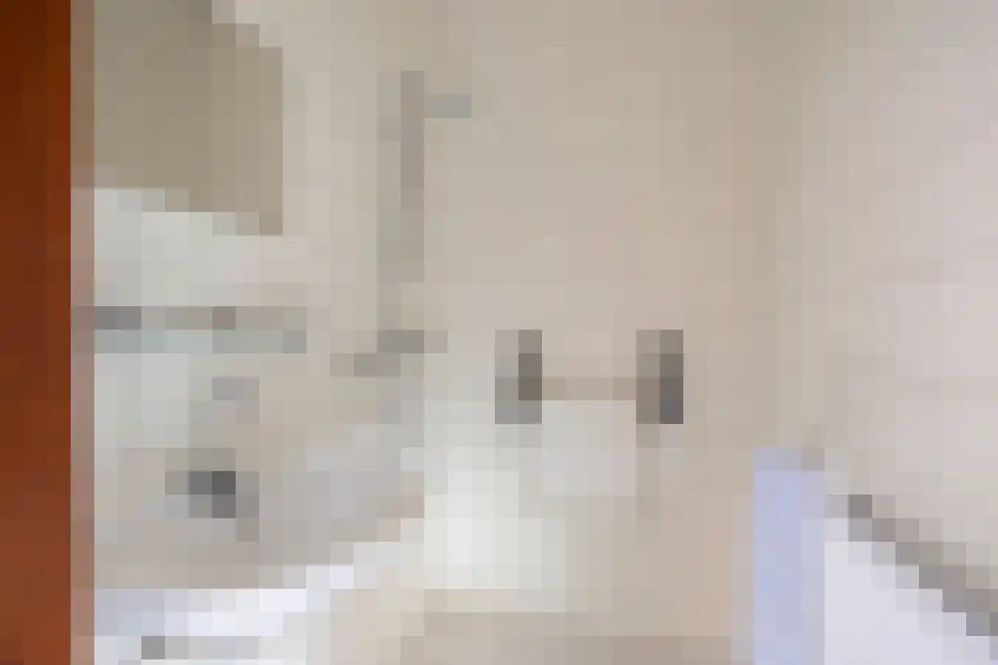 Vaassensebinnenweg 21 Emst thumbnail 17