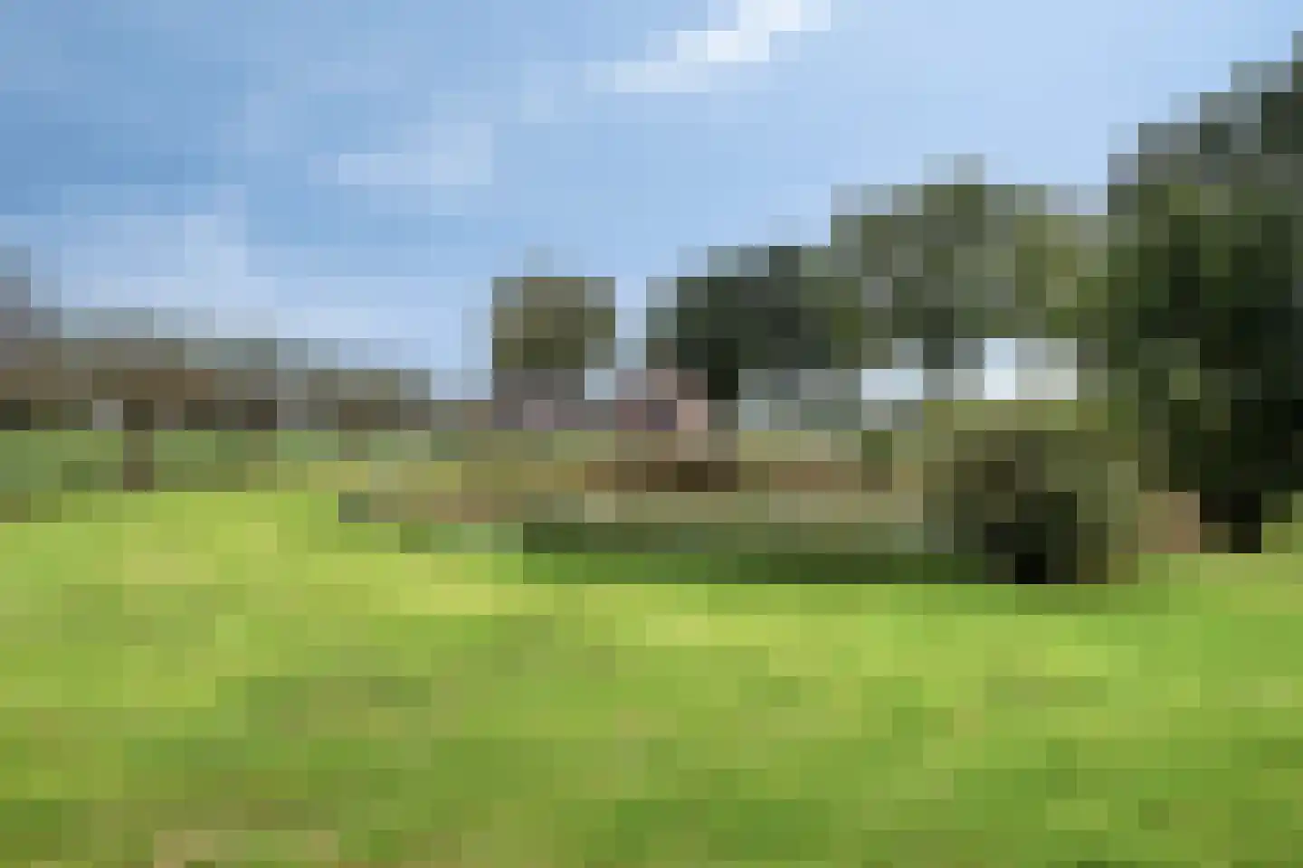 Vaassensebinnenweg 21 Emst thumbnail 29