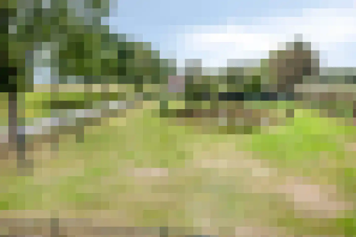 Vaassensebinnenweg 21 Emst thumbnail 30