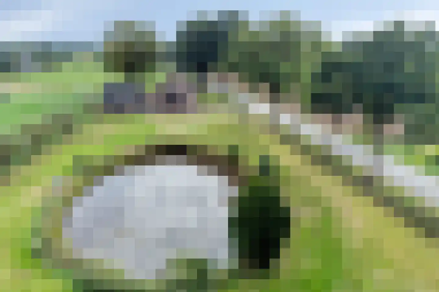 Vaassensebinnenweg 21 Emst thumbnail 32