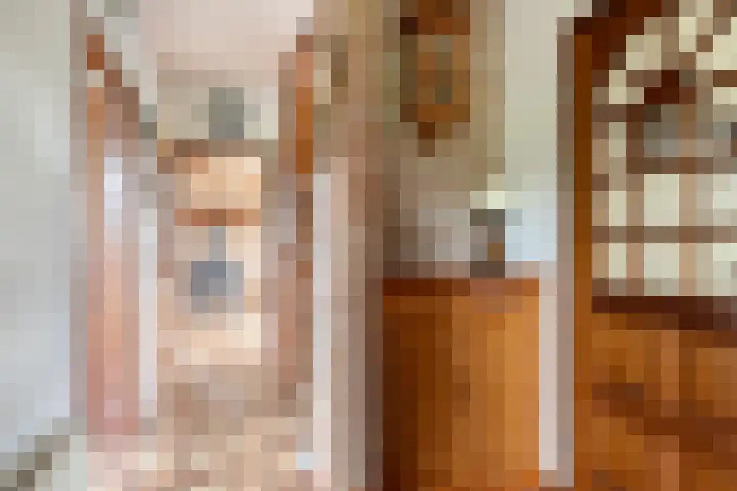 Vaassensebinnenweg 21 Emst thumbnail 6