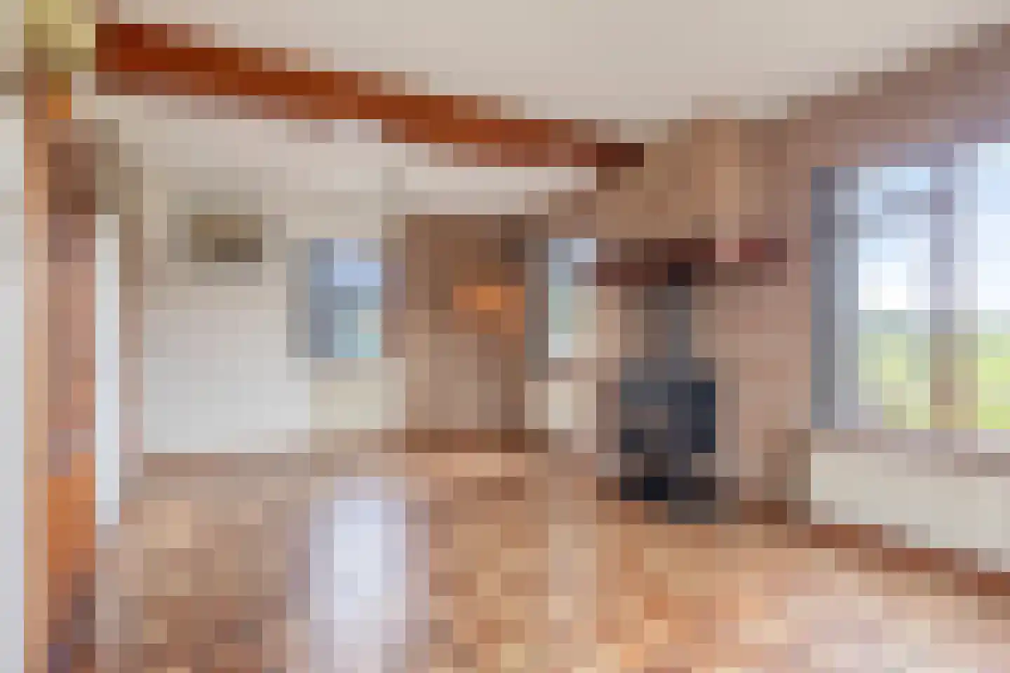 Vaassensebinnenweg 21 Emst thumbnail 7