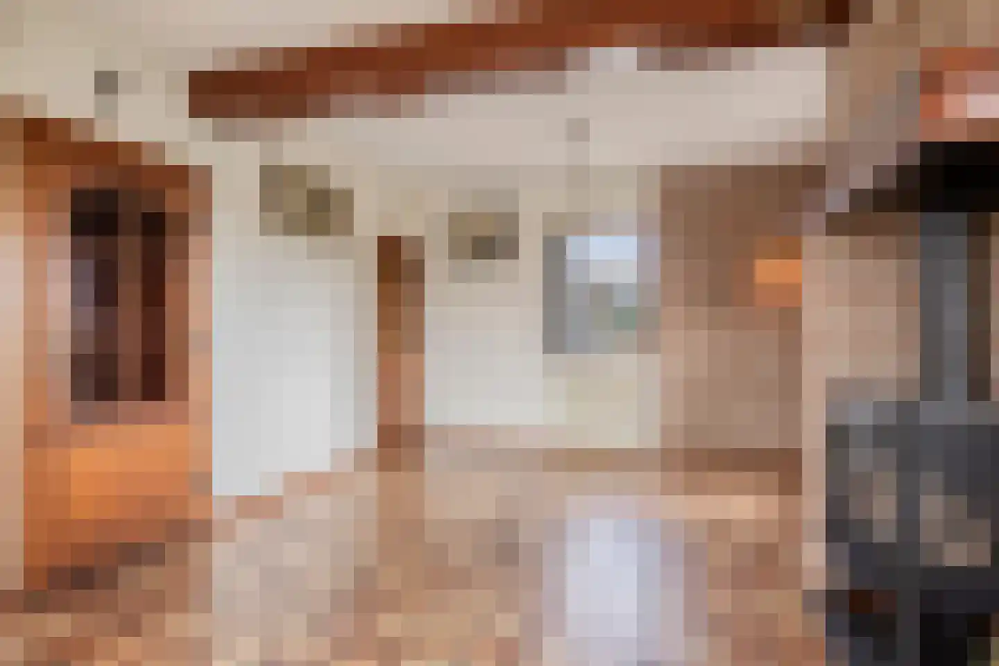 Vaassensebinnenweg 21 Emst thumbnail 8
