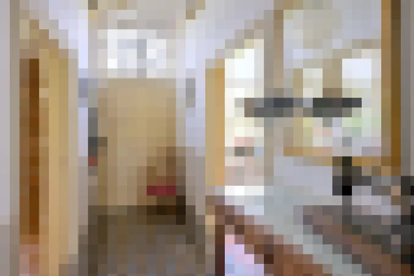 Vaassenseweg 15 Terwolde thumbnail 11