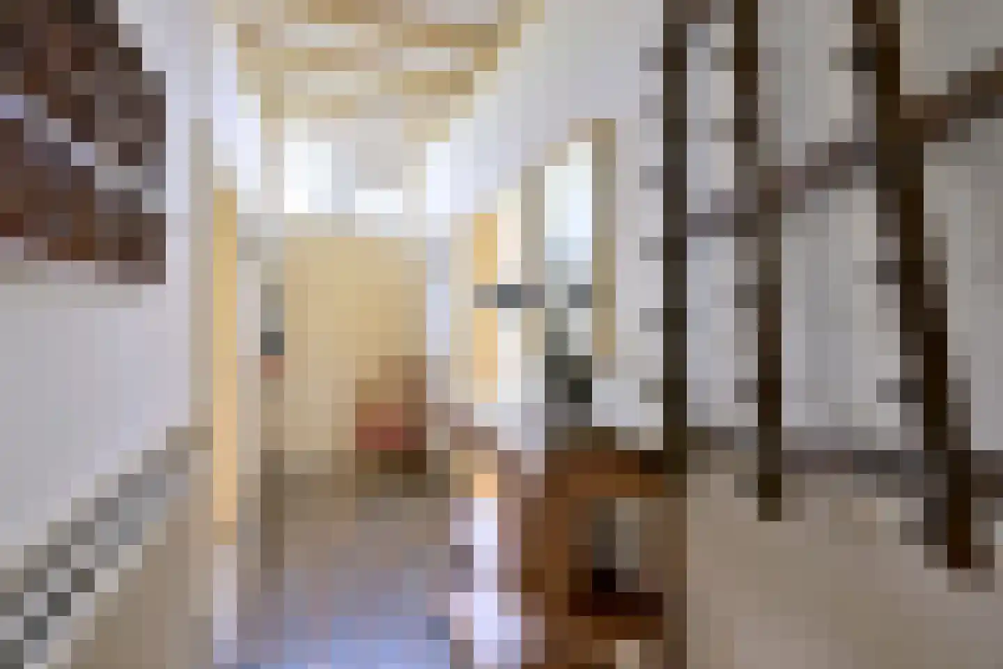 Vaassenseweg 15 Terwolde thumbnail 12
