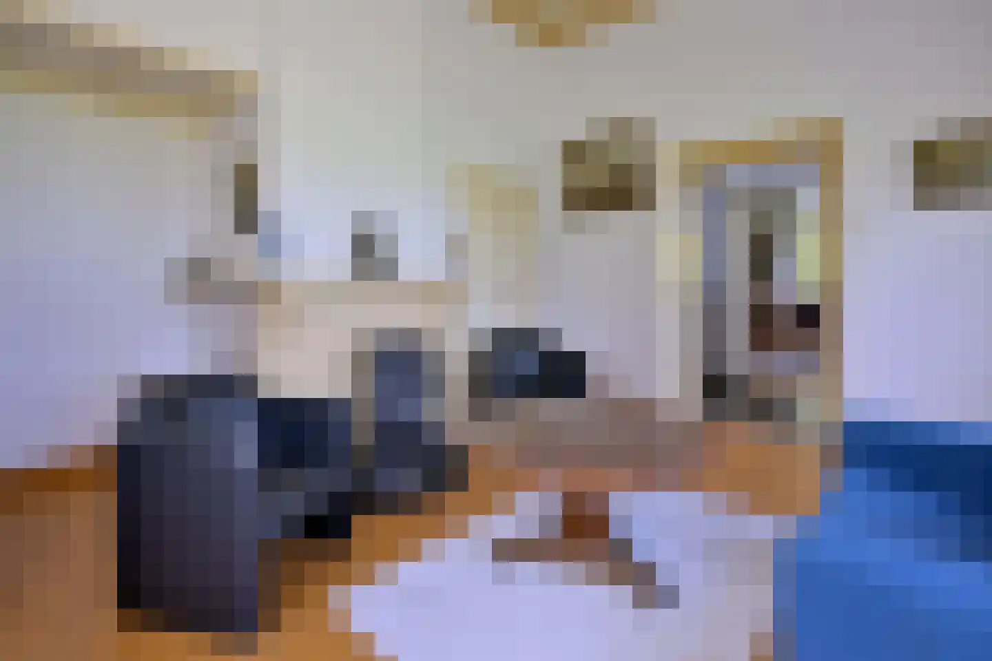 Vaassenseweg 15 Terwolde thumbnail 15