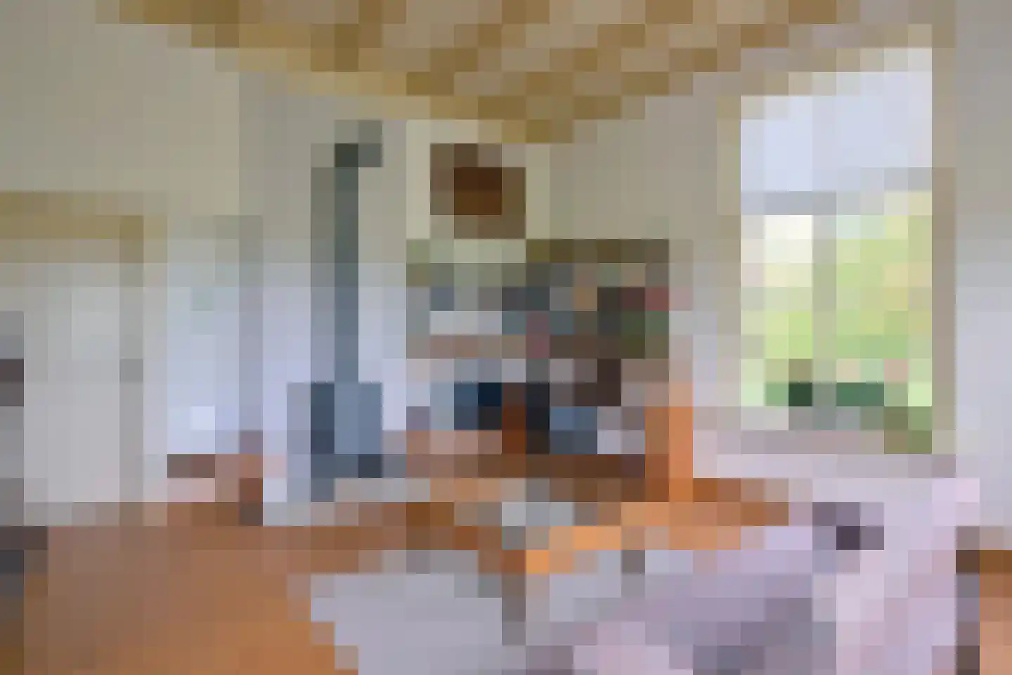 Vaassenseweg 15 Terwolde thumbnail 16