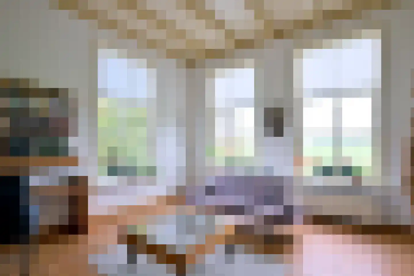 Vaassenseweg 15 Terwolde thumbnail 17