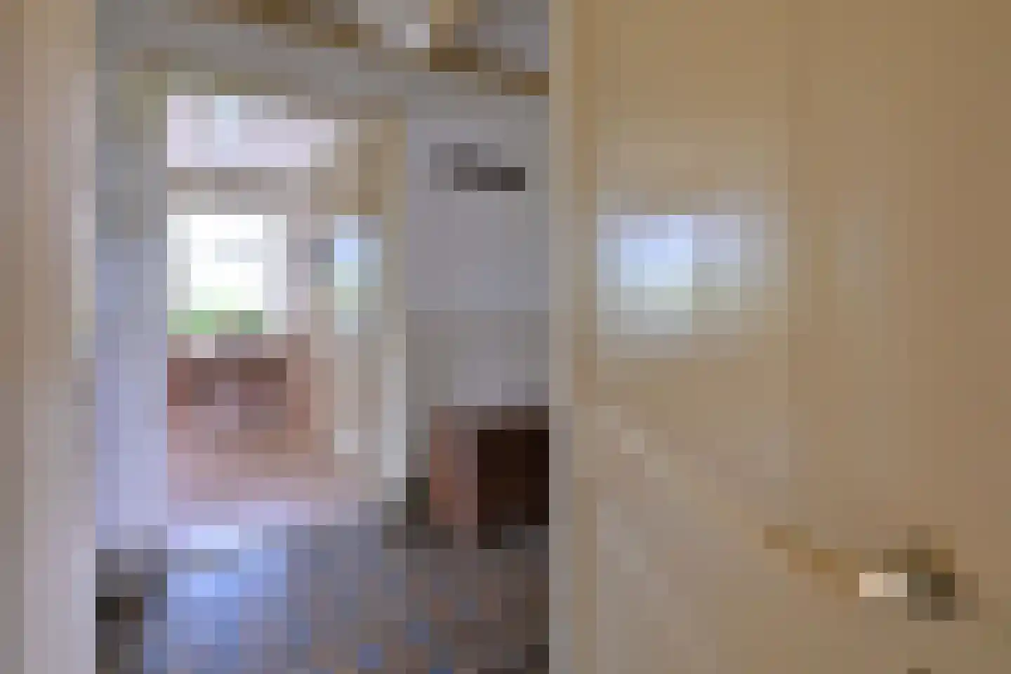 Vaassenseweg 15 Terwolde thumbnail 19