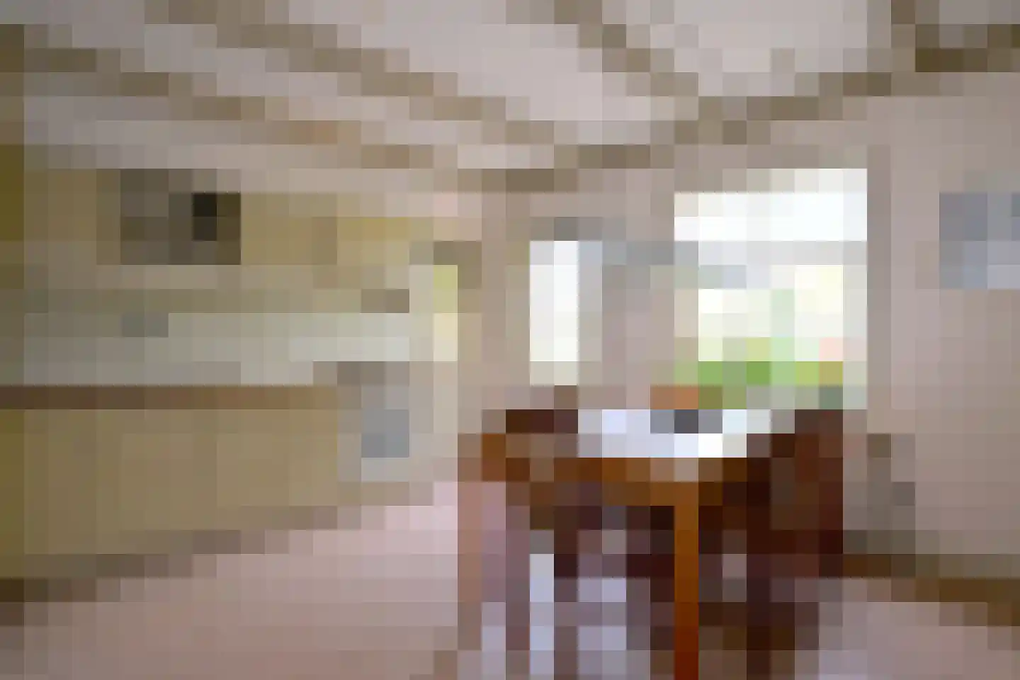 Vaassenseweg 15 Terwolde thumbnail 20