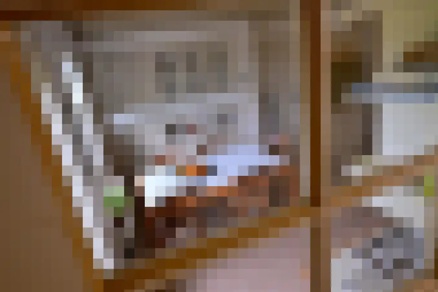 Vaassenseweg 15 Terwolde thumbnail 23