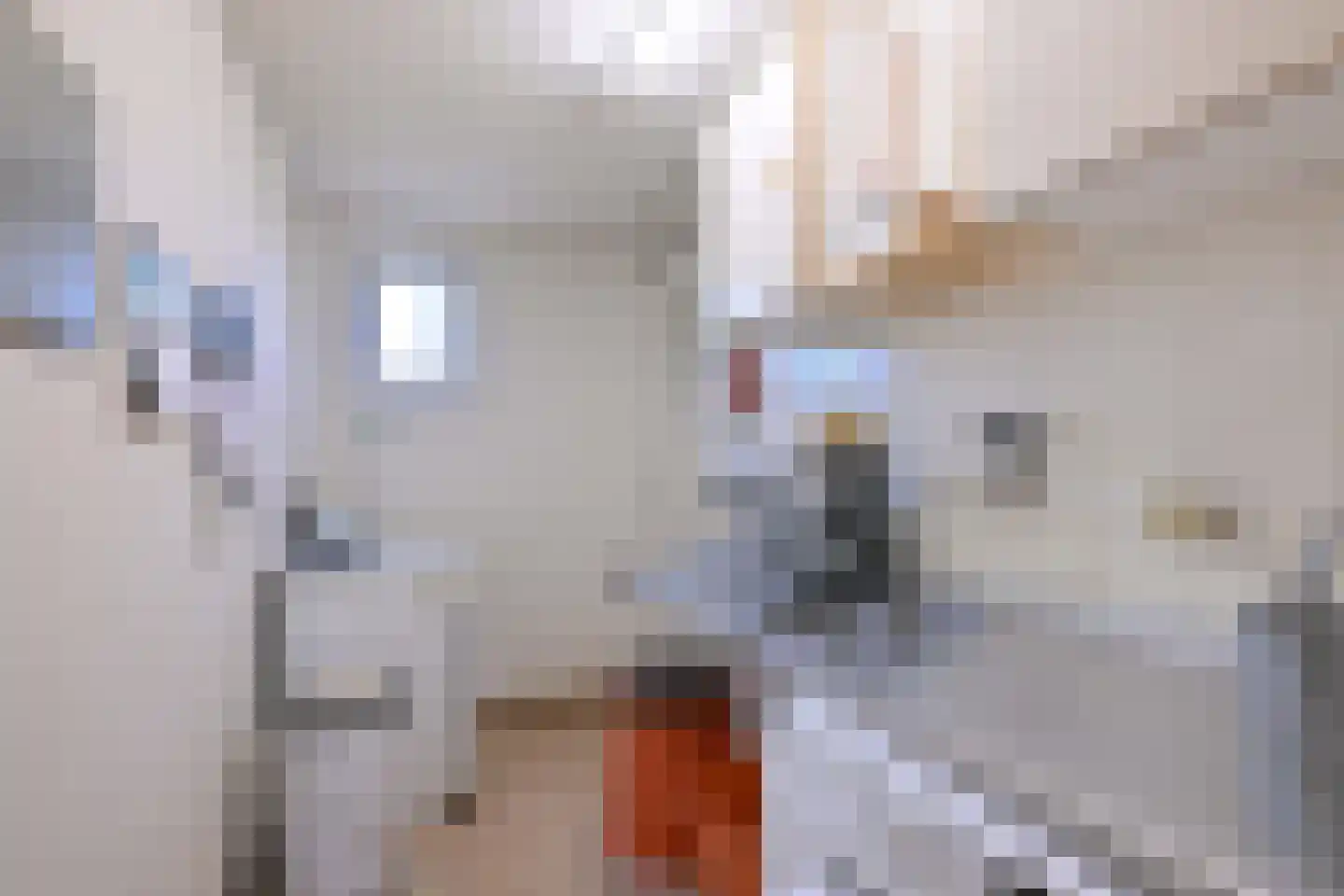 Vaassenseweg 15 Terwolde thumbnail 24